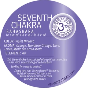 Mr. Steam Mystic Indigo Chakra Oil 10mL - Image 2